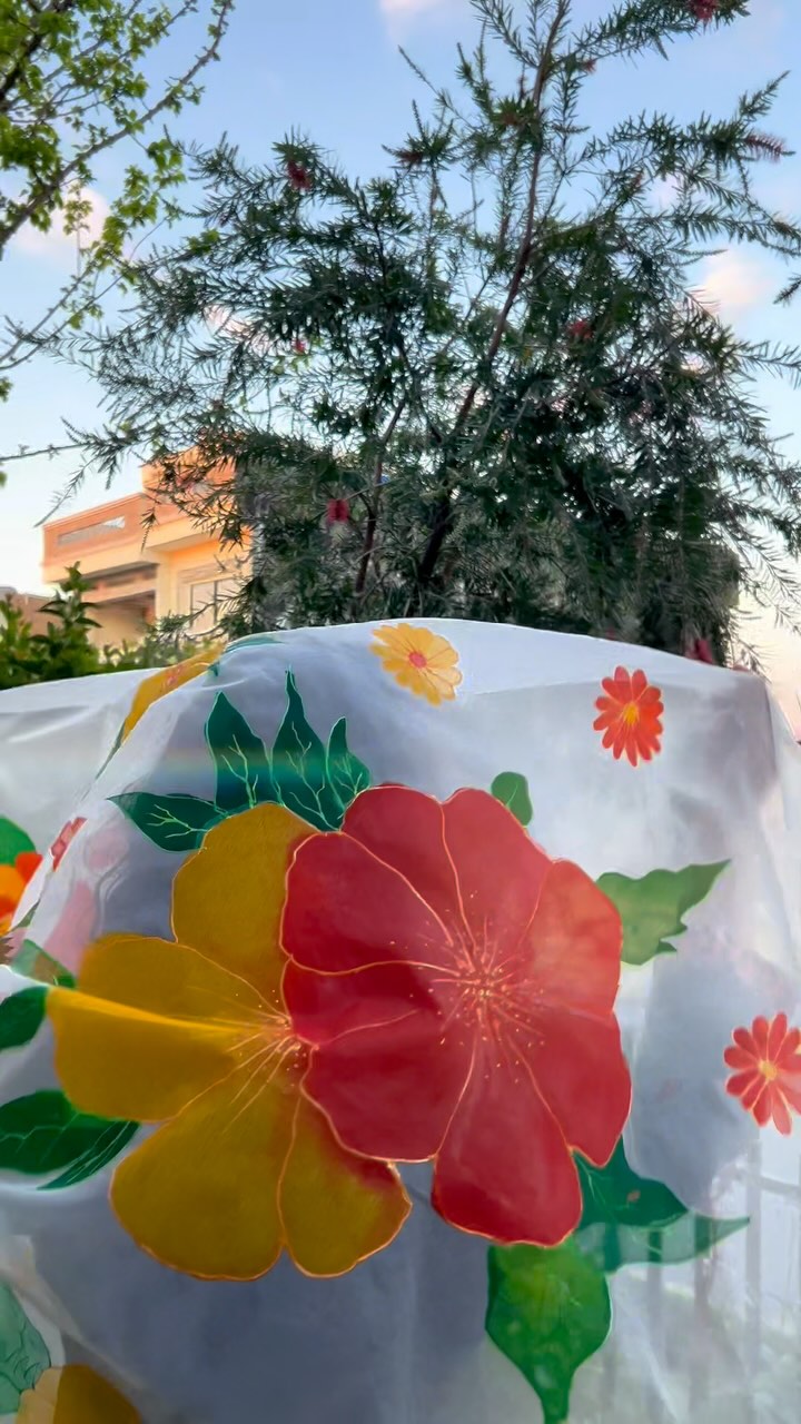 Hand-Painted Organza Dupatta with Bold Floral Design